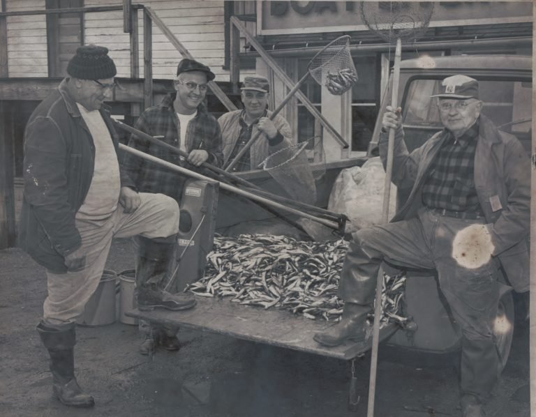 Oscar Fuerst, Bob Chase Sr., John DeVey and Bill Koush with dip nets around a truck tailgate heaped with smelt
