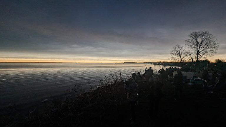 Silhouetted crowd gathered on the shore under a darkened sky, a pale glow along the lake horizon