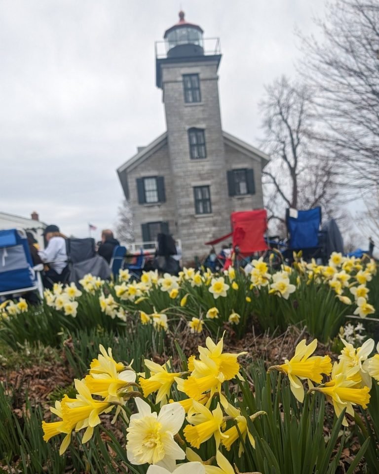 Yellow daffodils in front of a stone lighthouse, with people seated in folding chairs on the lawn